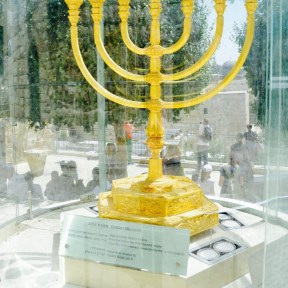 cropped-cropped-dsc_0571-e14955714379961