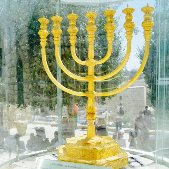 cropped-cropped-dsc_0571-e149557143799611 (1)