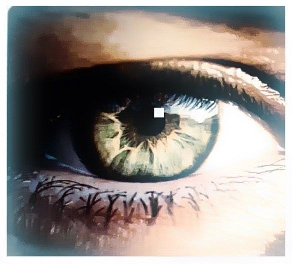 This image has an empty alt attribute; its file name is eye_1a.jpg